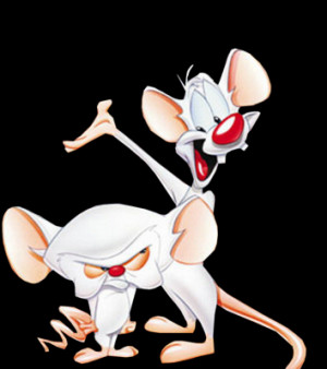 de Pinky and the Brain