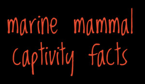 davallia : Bless this blog! :)