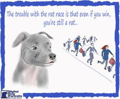 ... quote # funny # ratrace # weekend # dog quotes funny pitbull quotes