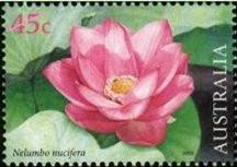 ... depicting the Lotus Flower - a beautiful symbol of Spiritual Awakening