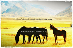 Wild Horses: beautiful inspiring quote overlaid a vintage photographic ...