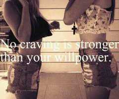 Funny Quotes Contact Dmca