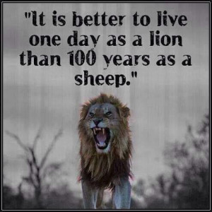 Lion - sheep