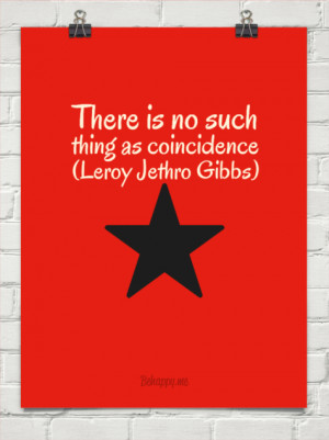 There is no such thing as coincidence (leroy jethro gibbs) #88528