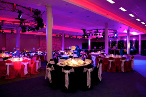 Casino Royale Christmas