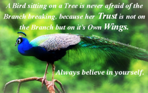 bird sitting on a tree is never afraid of the branch breaking ...