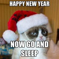 Happy New Year, Now Go To Sleep Funny Cute Pic