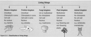 ... Classification of Living Things, Classification of Living
