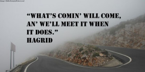 what s comin will come an we ll meet it when it does # hagrid # quotes