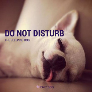 Do not disturb the sleeping dog. #Chic4Dog #dogquote