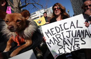 ... go up under proposed reforms to Washington’s medical marijuana law