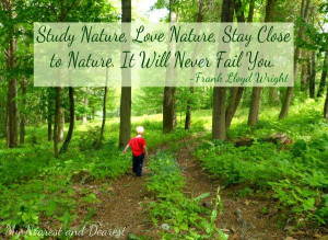 Inspirational Quote from My Nearest and Dearest