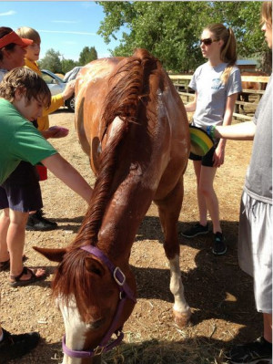 Sow with if we have all of Scriptures On Being Prepared Won frankly, i ...