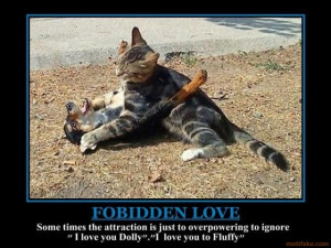 Lolcats 'n' Funny Pictures of Cats Motivational Posters