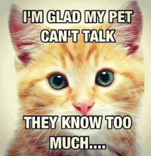 Glad My Pet Can't Talk - Funny pictures