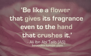 Beautiful Islamic Quotes In English