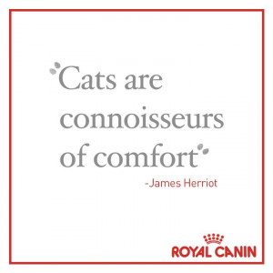 was helped by having a verbatim memory of what happened years ago ...