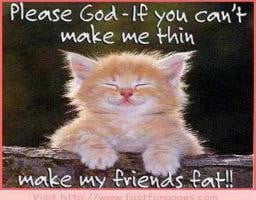 Very-Cool-Ironic-Wish-Sent-To-God-Funny-Life-Quote-Kitty-Picture.jpg