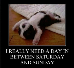 Funny memes – [I really need a day]