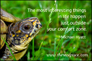 turtle-quote