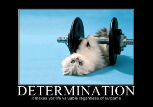 Categories Motivation , Motivational Monday