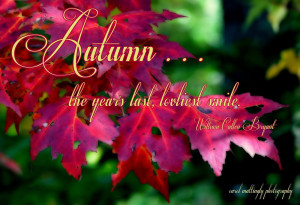 Autumn Quote HD Wallpaper 13