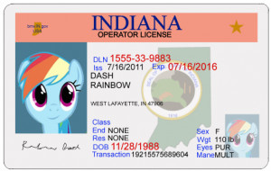 Rainbow Dash Indiana Driver's license by totallynotabronyFIM