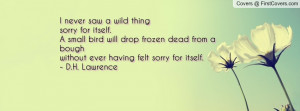 never saw a wild thing sorry for itself. A small bird will drop ...