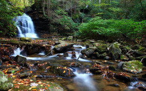 Creek in the woods wallpapers and images