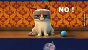 Grumpy Cat Quotes Frozen