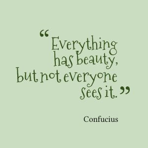 Quotes Picture: everything has beauty, but not everyone sees it