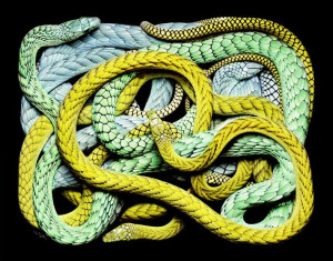 image-serpent