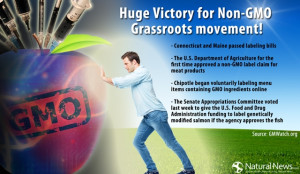 Huge Victory for Non-GMO Grassroots movement! - Connecticut and Maine ...