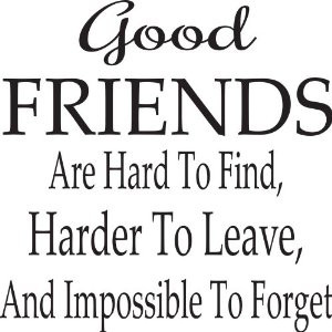 friend is hard to find friendship quote a good friend is hard to find