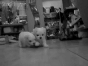 Love the lack of hand – eye coordination