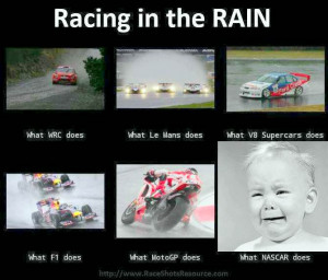 Racing-in-the-Rain.jpg