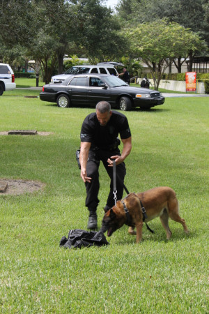k9 police dogs in action