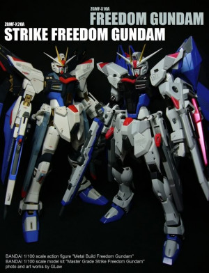 Metal Build Freedom Gundam May 21, 2012 14:45:28 GMT -5