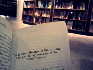 el mayor placer en la vida es hacer lo que la gente dice que no ...