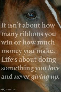 ... , Hors Quotes, Farms Life, Horses Quotes, Equestrian, Racing Hors