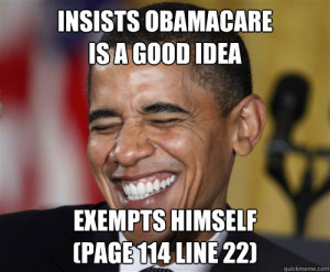 ... Obama enacted the Patient Protection and Affordable Care Act (PPACA