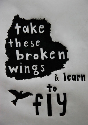 broken wings learn to fly again