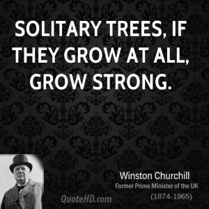 Solitary trees, if they grow at all, grow strong.