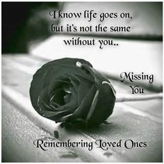 remembering loved one love quotes quote miss you sad rose in memory ...