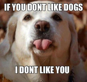 don’t Like You If You Don’t Like Dogs