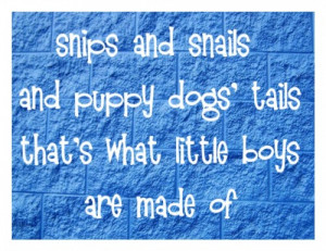 Boys Room Vinyl Wall Quote -Snips and Snails