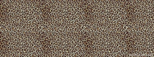 Cheetah Facebook Cover