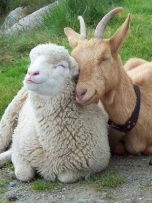 Uploaded to Pinterest