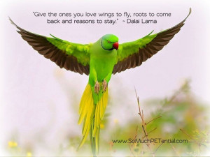 Give the one’s you love wings to fly, roots to come back and reasons ...
