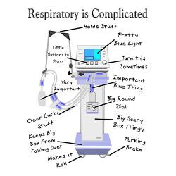 more_respiratory_therapy_greeting_card.jpg?height=250&width=250 ...